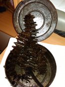 IMG_20171029_204541.jpg