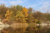 IMG_2485.JPG