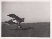 Rumaniesche16.jpg