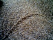 IMG503.jpg
