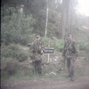 BKA - SS-Panzer-Aufklärungs Abteilung 11.jpg