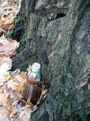 IMG_20171101_115202.jpg