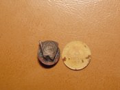 DSC01817.JPG
