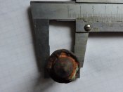 RSCN9889.JPG
