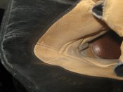 IMG_1592.jpg