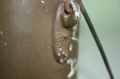 IMG_0095.JPG