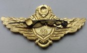 Классность МВД офицерская, 1-й класс