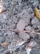 20171103_133743.jpg