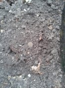 20171103_140027.jpg