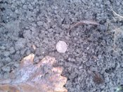 20171103_144020.jpg