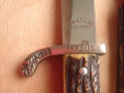 DSC00250.jpg
