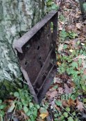 IMG_20171104_145303.jpg