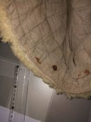 IMG_20171105_093445.jpg