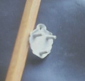 IMG_20171105_110329.JPG
