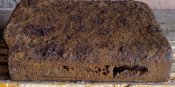 IMG_20171018_104852.jpg