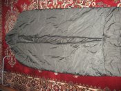 IMG_4578.JPG