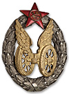 20069a.jpg
