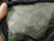 IMG_20171108_173156.jpg