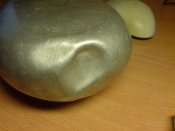 DSC00021.jpg