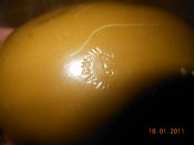 DSCN6685.JPG