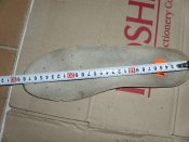 DSCI6979.JPG