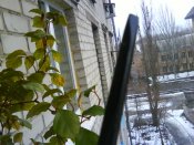 DSC00216.JPG