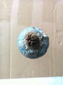 ММГ Ружейная граната Зеленского