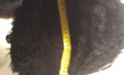IMG_20171001_204600.jpg