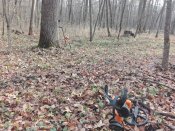 IMG_20171114_121352.jpg