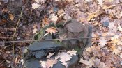 IMG_1081.JPG