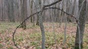 IMG_1091.JPG