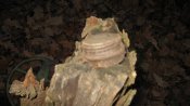 IMG_1114.JPG