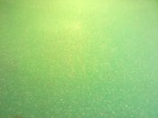 27022012287.jpg