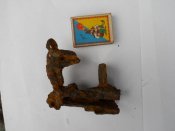 DSCN1557.JPG