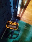 IMG_20171031_110523.jpg