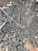 20171116_100203.jpg