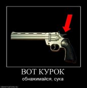 729485_vot-kurok.jpg