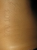 IMG_2204.JPG
