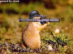 Сталкер 40