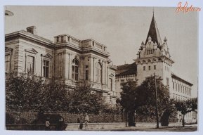 Dimua