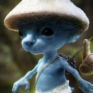 Антон Пряников