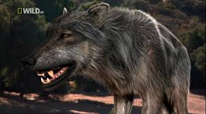 Entalodont