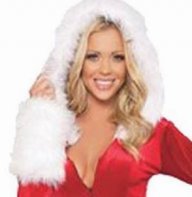 санта клаус