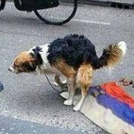 Михаил Пашкевич