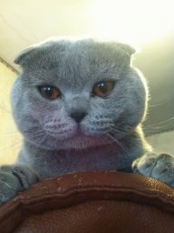 Игорь Одесса