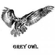 GreyOwl