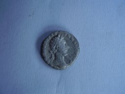 ROMAN28121980