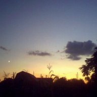 EvaGenia