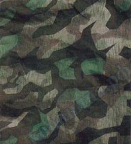 AzovShutze