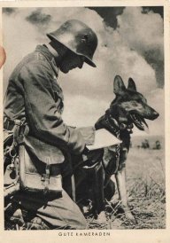 Вася Kliemann